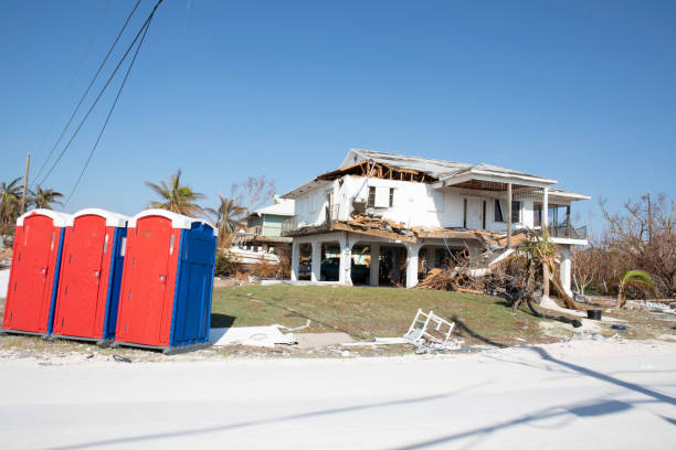 Leaf Removal in New Paris, IN